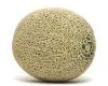 Cantaloupe