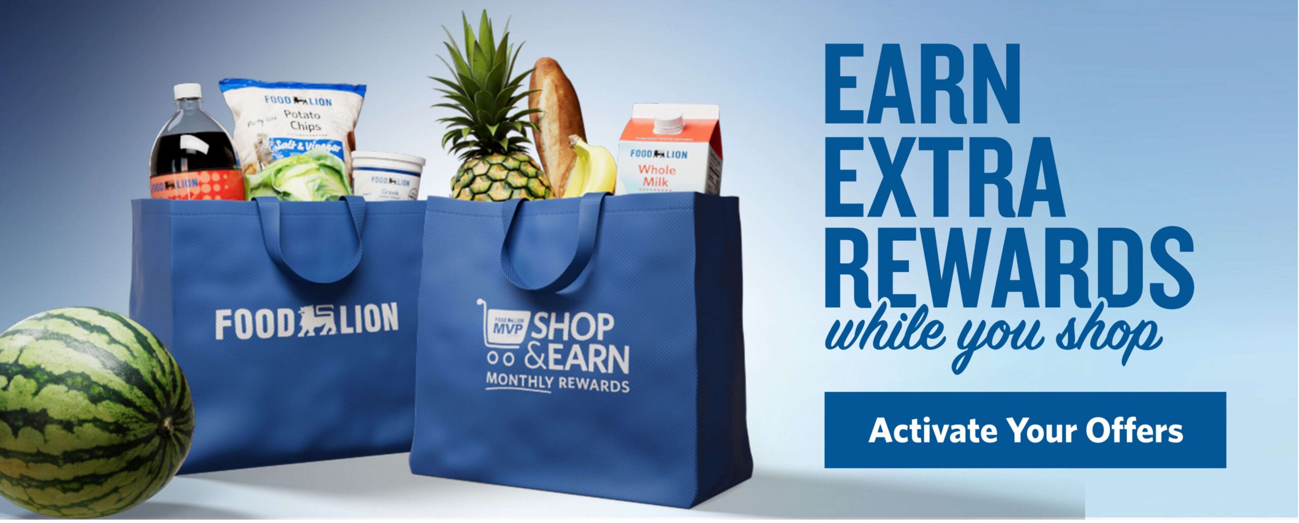 Food Lion Weekly Ad Page 5