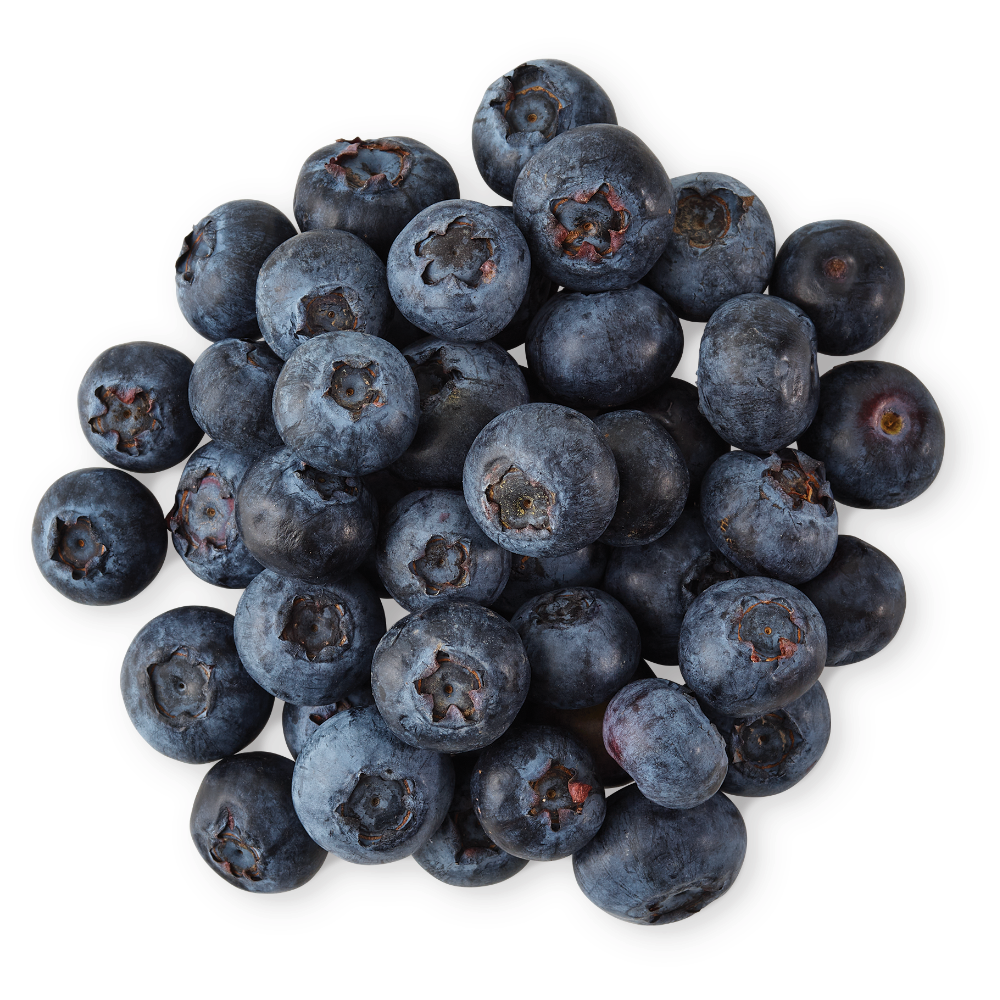 Georgia Blueberries