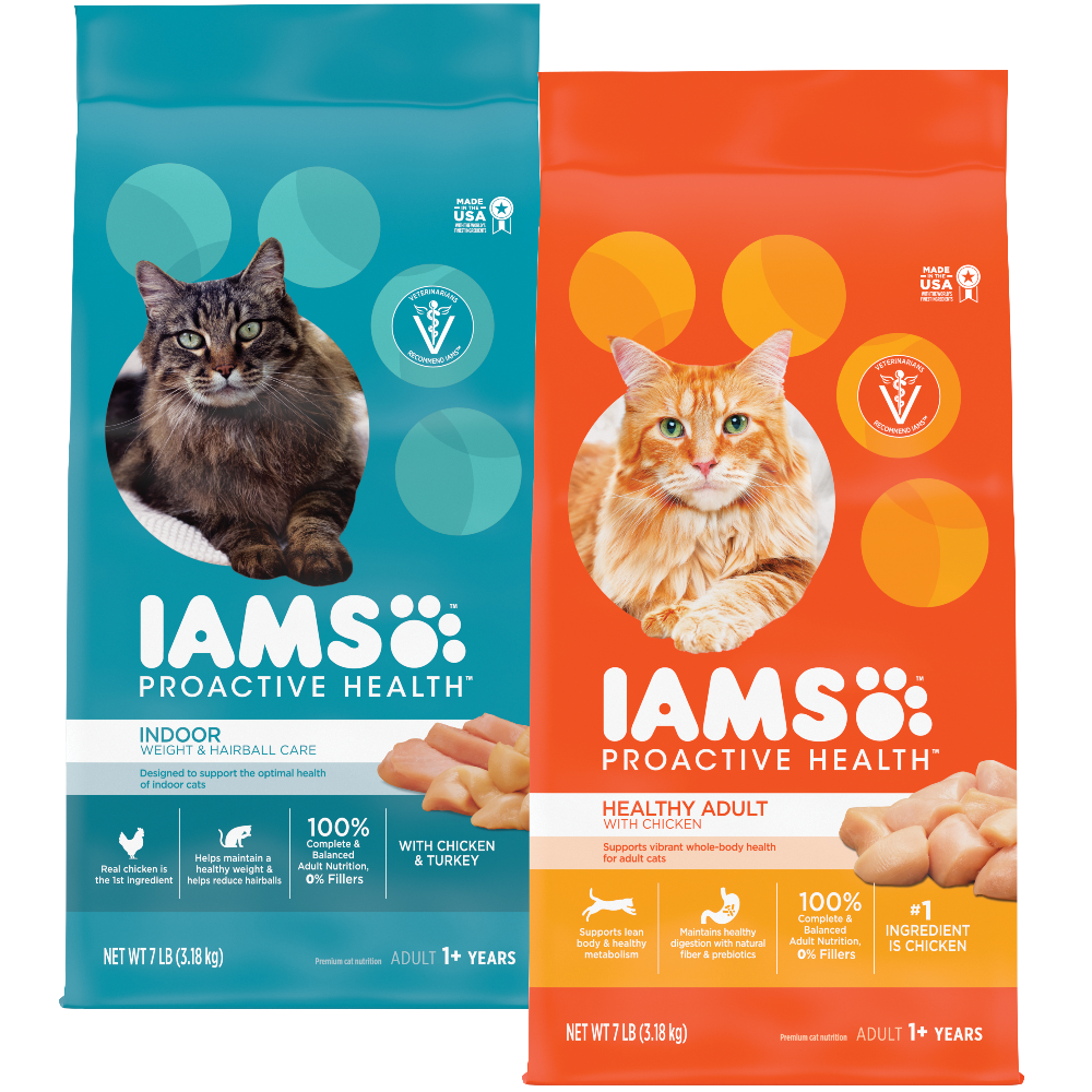 Iams Dry Cat Food