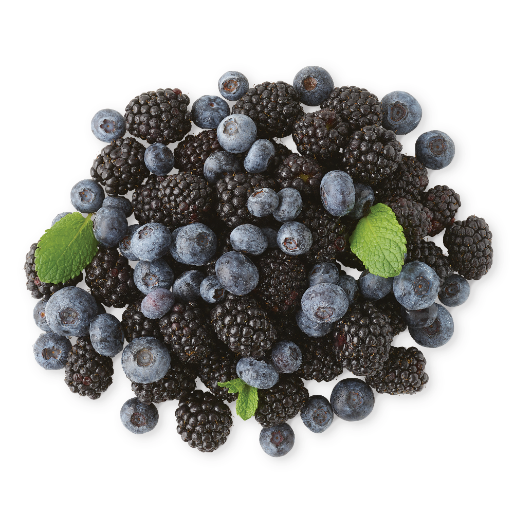 Georgia Blueberries