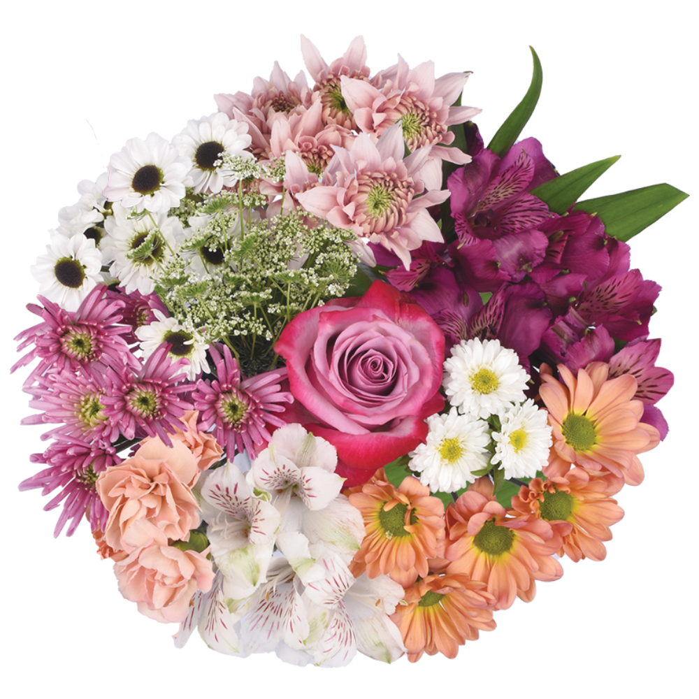 Bloom Haus Petal Poetry Bouquet