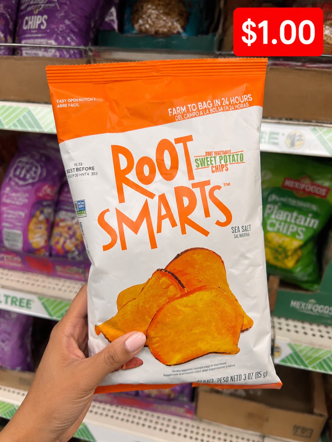 ROOT SMARTS ROOT VEGETABLE SWEET POTATO CHIPS SEA SALT