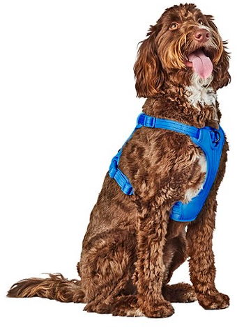 Boots & Barkley reflective dog harness