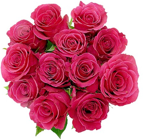 Good Little Garden Mother’s Day dozen roses