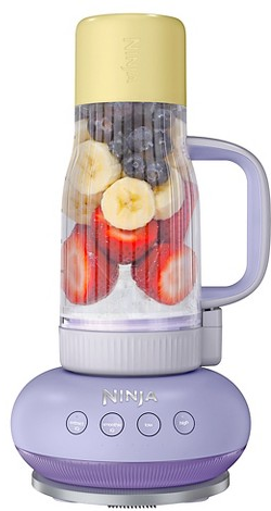 Ninja BlendBoss 26-oz. blender