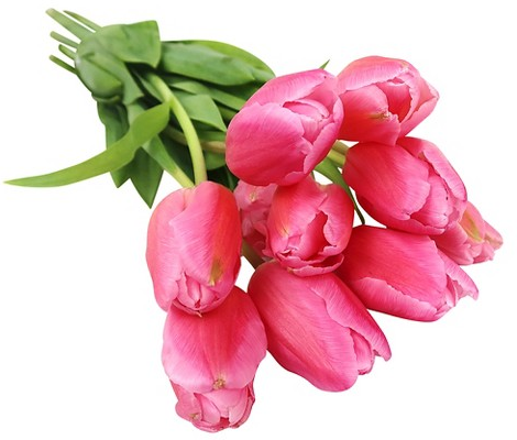 Good Little Garden™ 10-stem tulip bunch