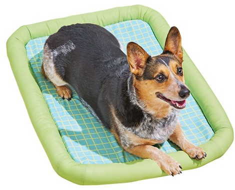 Boots & Barkley™ cooling bolster dog bed