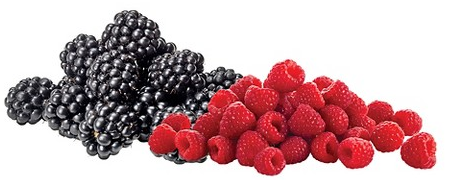Select fresh raspberries & blackberries