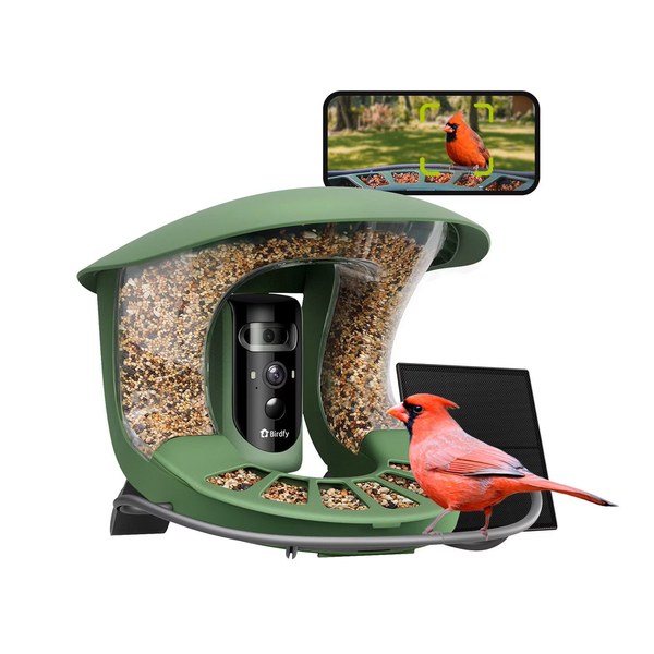 1. BirdFi AI-Powered Bird Feeder with Camera – $89 (was $199)