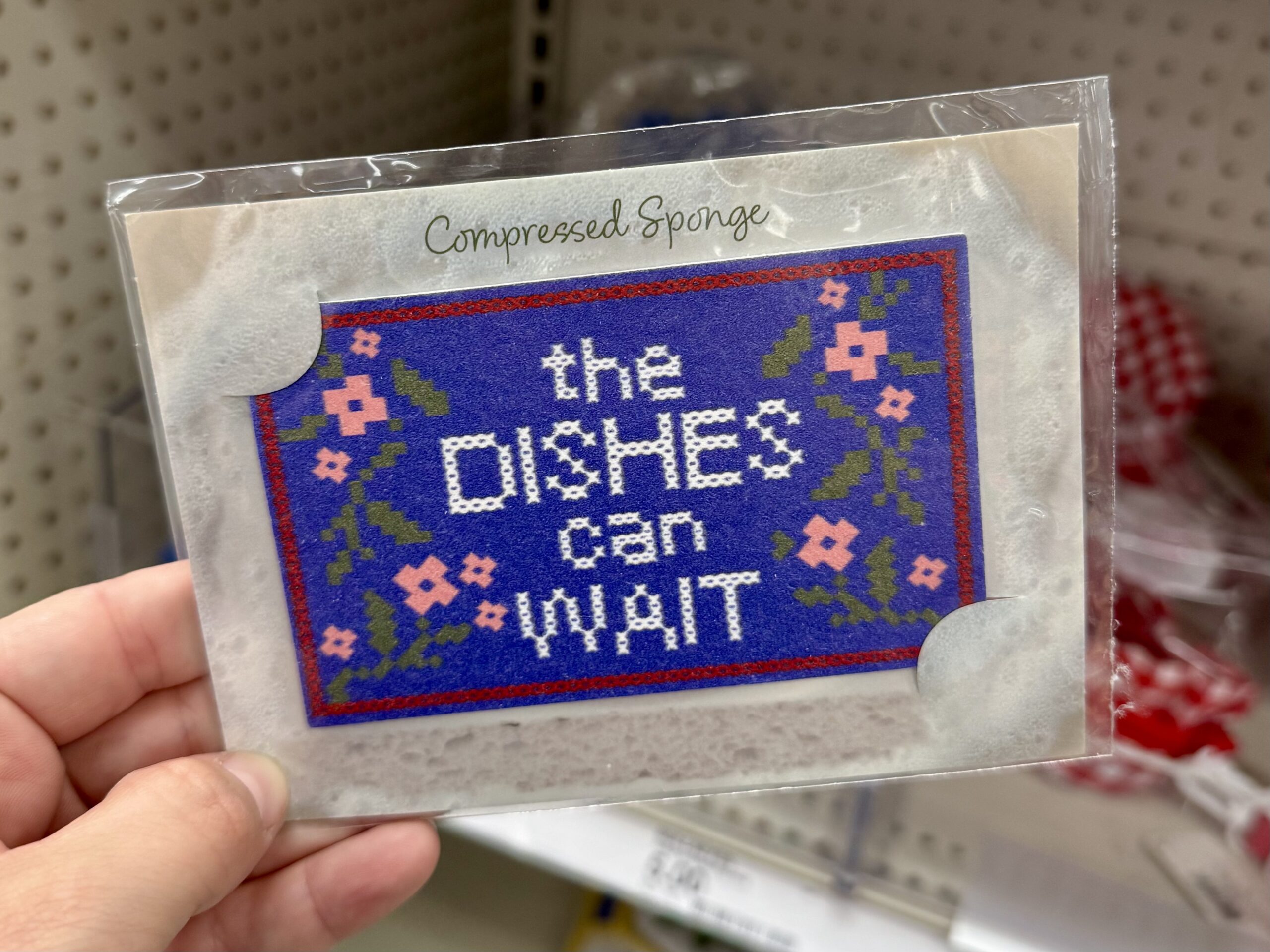 Compressed Sponge - in store