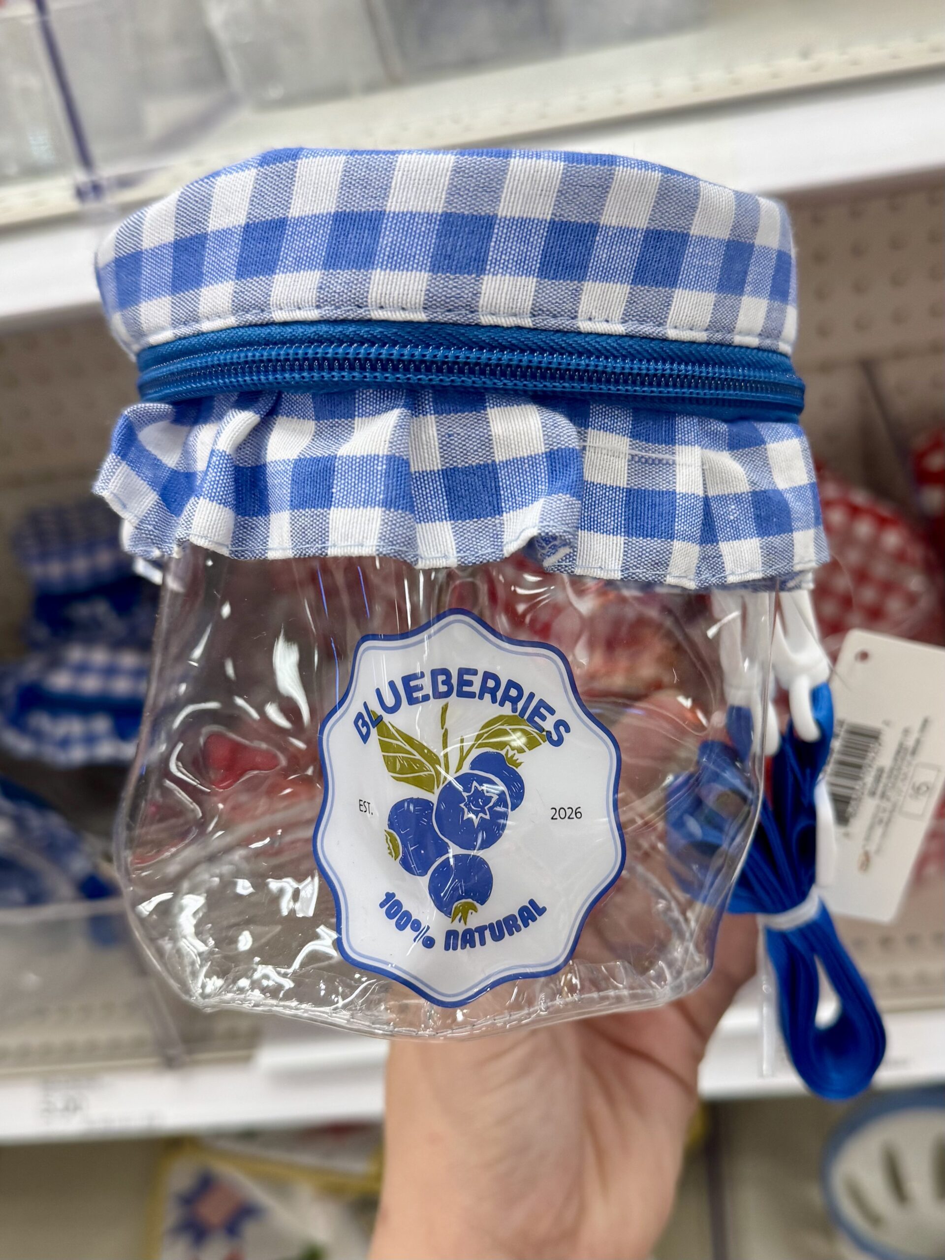 Target Blueberry Jar Pouch - in store