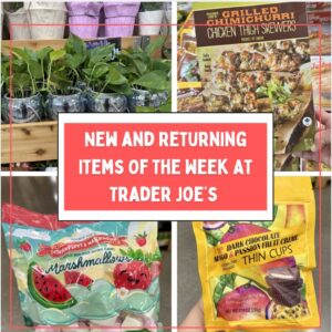 New and Returning Items Of The Week At Trader Joe's (6/15 – 6/21)