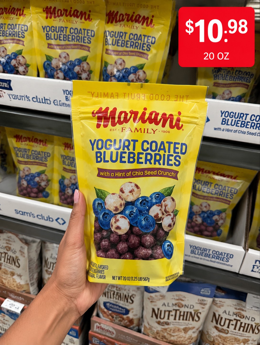 Mariani FAMILY YOGURT COATED BLUEBERRIES with a Hint of Chia Seed Crunch!