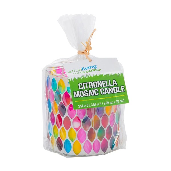 True Living Outdoors Frosted Glass Citronella Candle, Assorted - $1