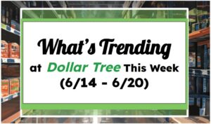 What's Trending at Dollar Tree This Week (6/14 - 6/20)