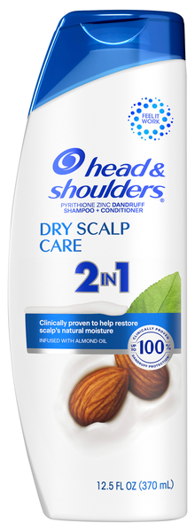 Head & Shoulders Dry Scalp Dandruff 2-in-1 Shampoo & Conditioner