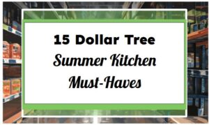 15 Dollar Tree Summer Kitchen Must-Haves