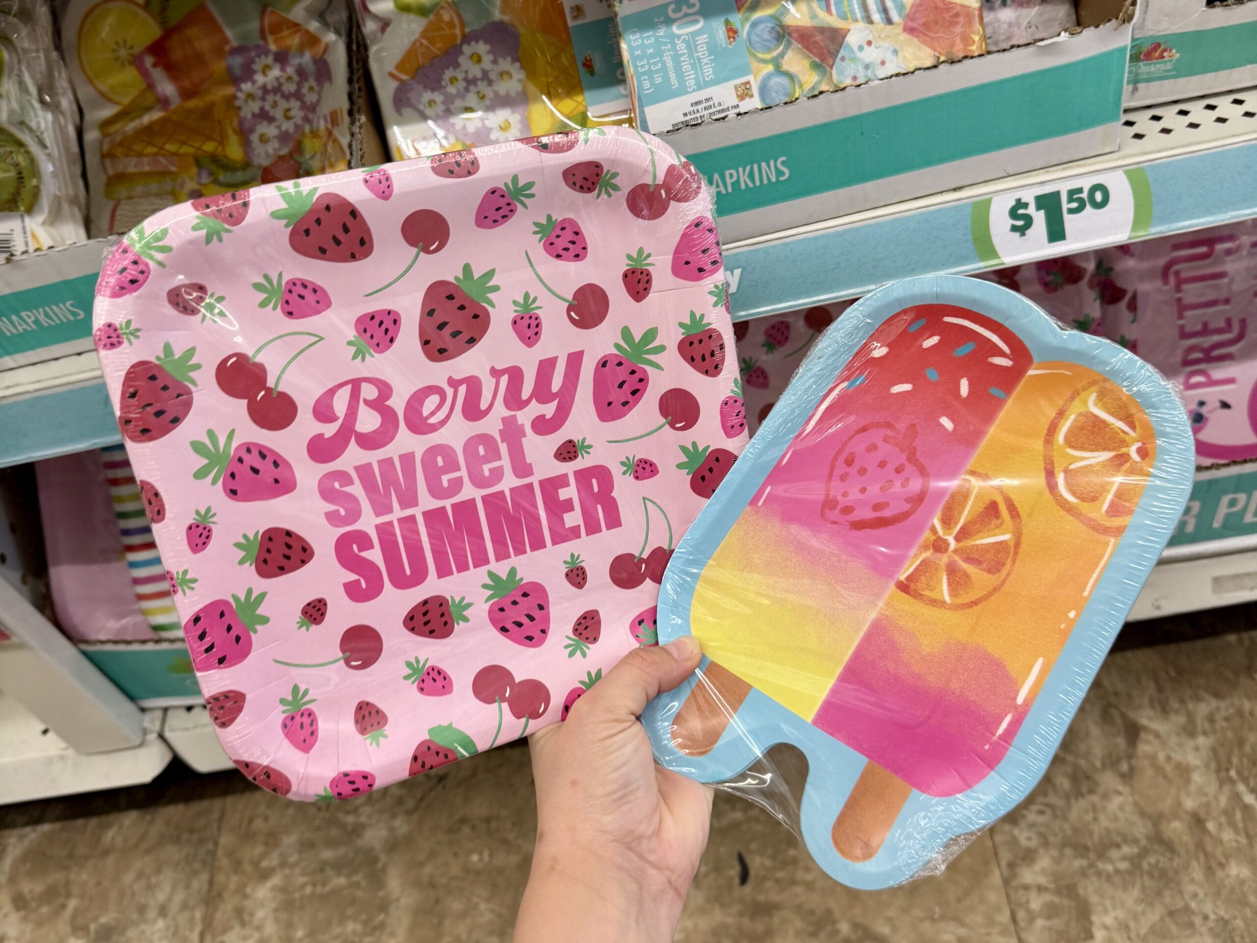 Summer Party Supplies - in store