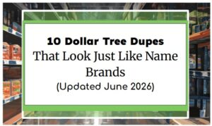 10 Dollar Tree Dupes That Look Just Like Name Brands (Updated June 2026)