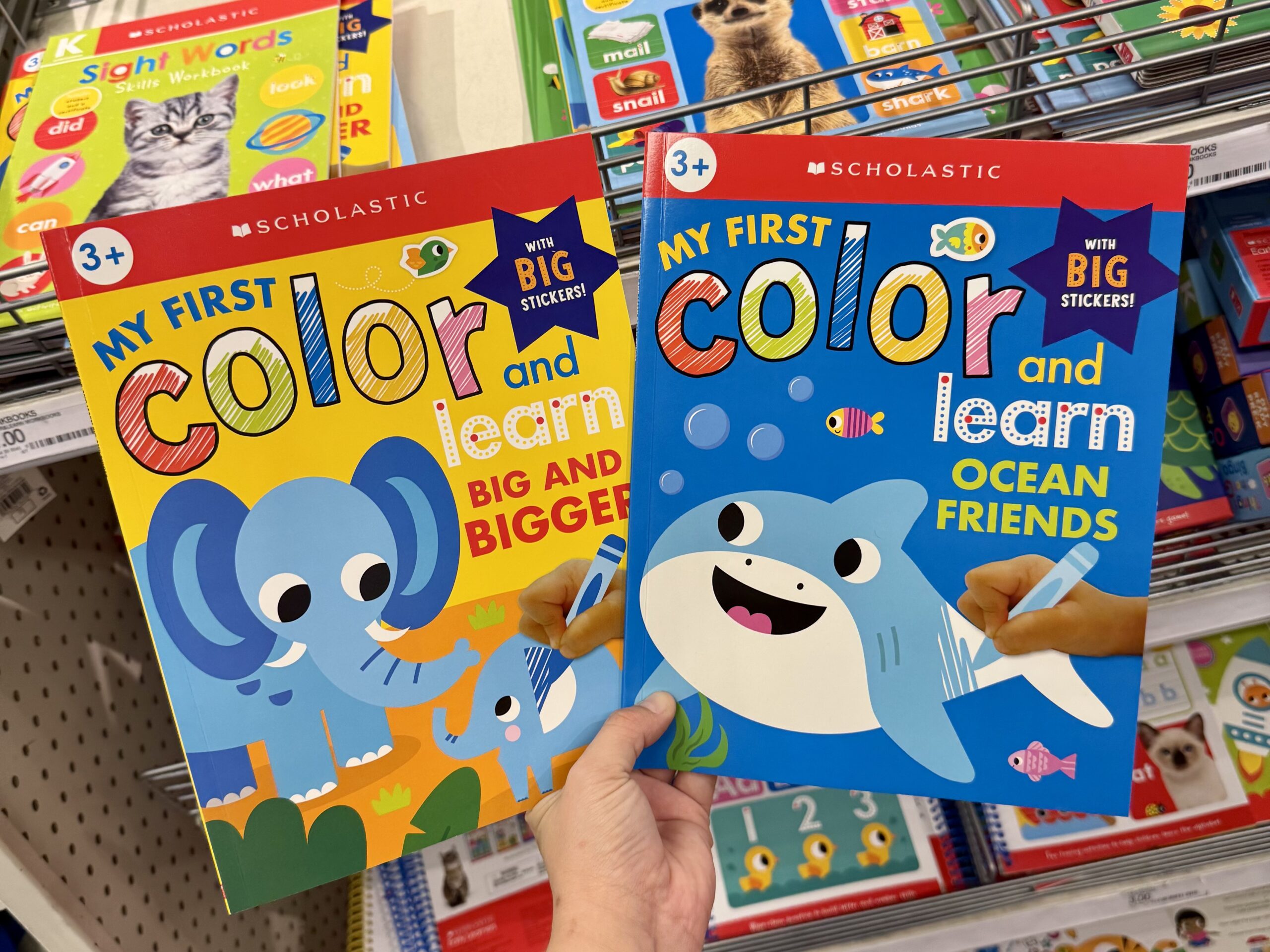 My Big Color & Learn Book: Scholastic Early Learners - in store