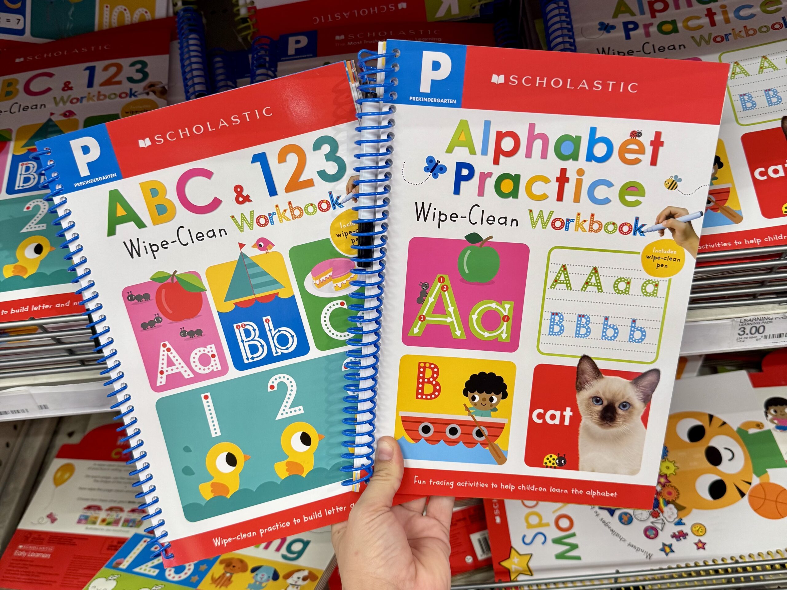 Write-And-Repeat Alphabet Practice - in store