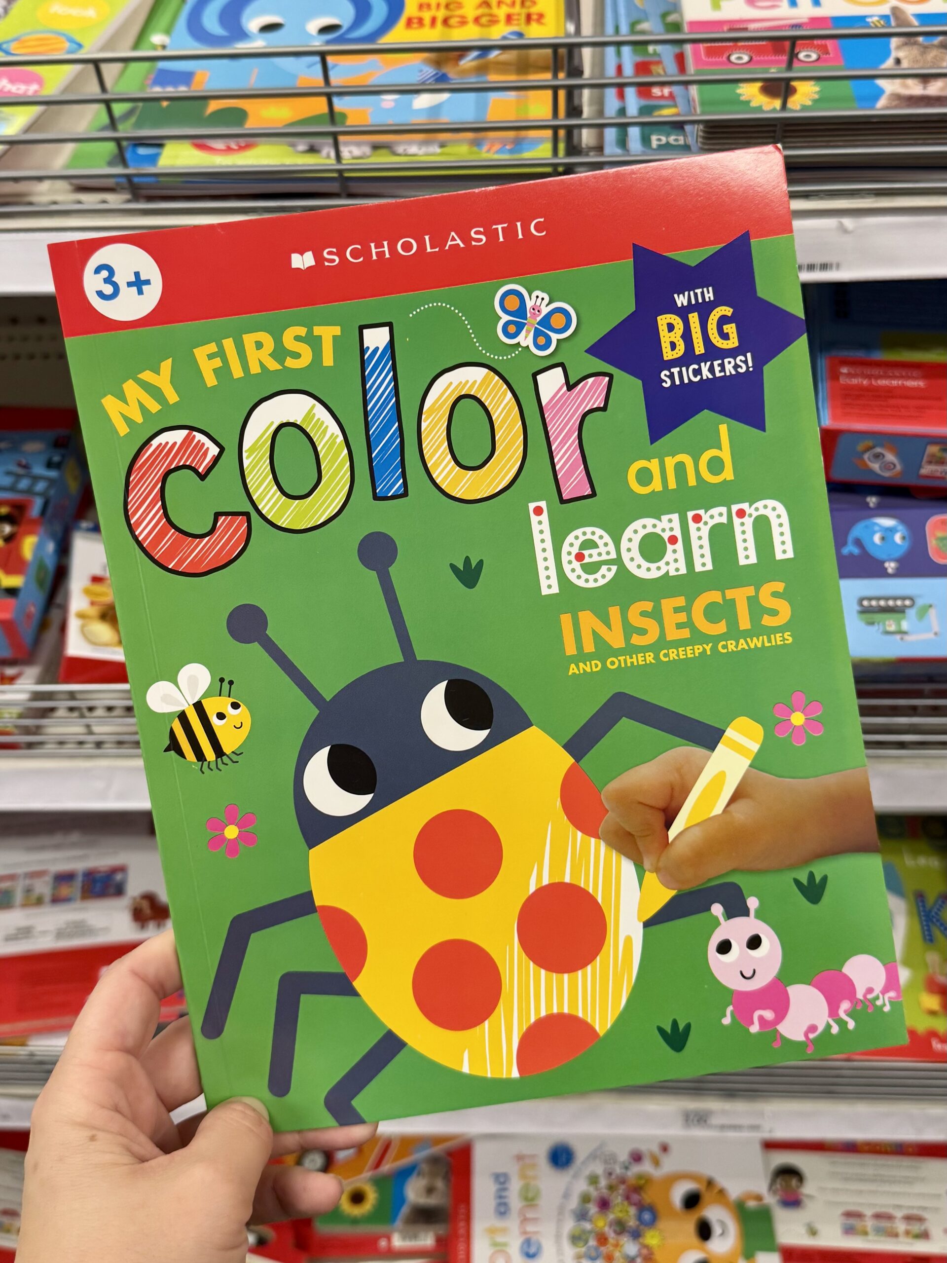 Make Believe Ideas Color and Learn Workbooks Insects - in store