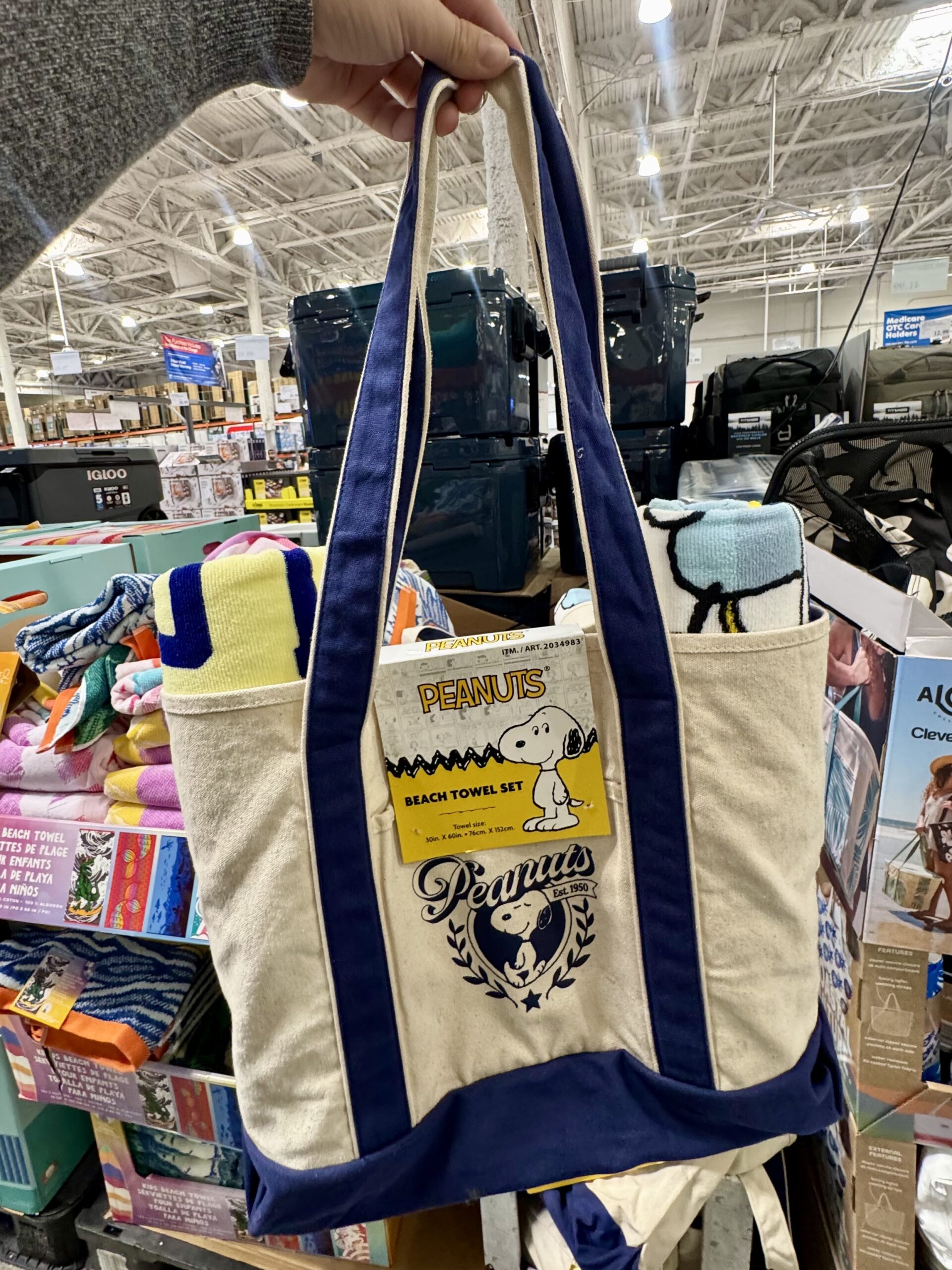 Peanuts Beach Towel Set