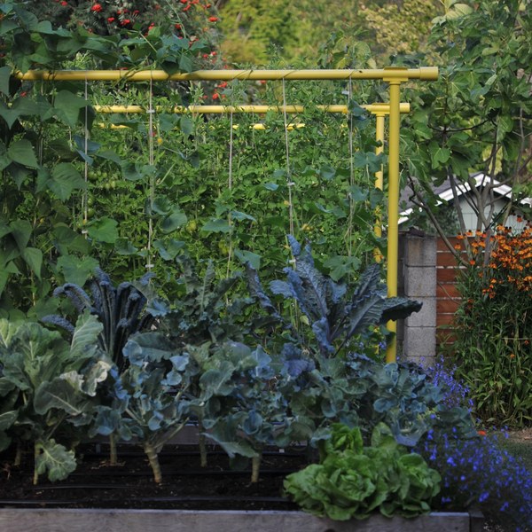 Garden Trellises (71.5") — $12.97