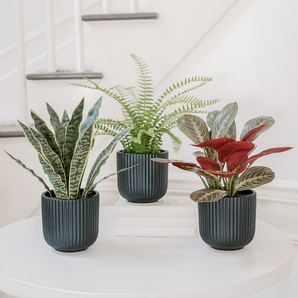 CG Hunter Faux Plants Trio — $14.97