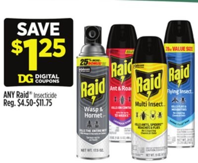 ANY Raid® Insecticide