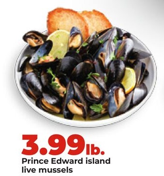 Prince Edward island live mussels