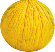 Galia, Casaba, Canary, Lemondrop, Sugar Kiss, Honey Kiss, Summer Kiss, Orange Flesh Honeydew, or Santa Claus Melons