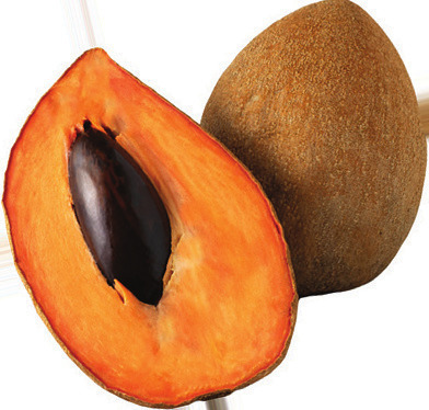 Mamey Sapote
