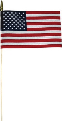 USA Flags
