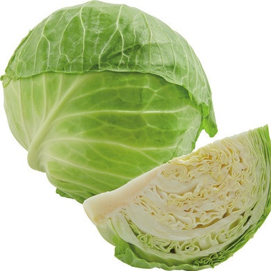 GREEN CABBAGE