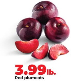 Red plumcot