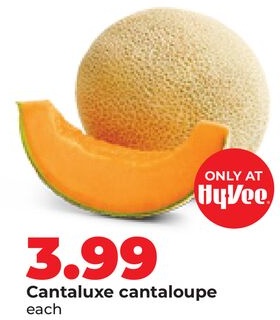 Cantaluxe cantaloupe