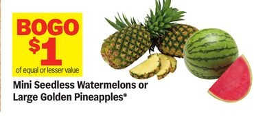 Mini Seedless Watermelons or Large Golden Pineapples*