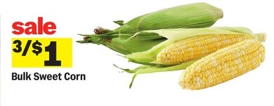 Bulk Sweet Corn