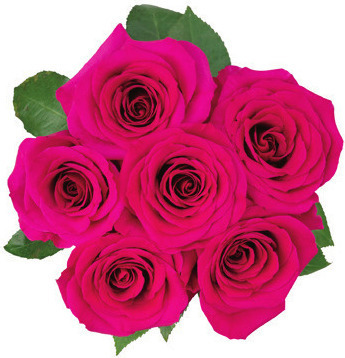 Floral and Vine by Meijer 6 Stem Rose Bunch*