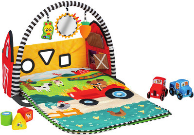 Baby Gyms and Activity Mats*