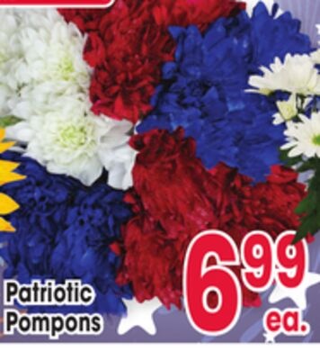 Patriotic Pompons