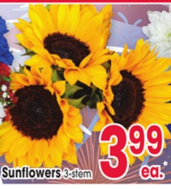 Sunflowers