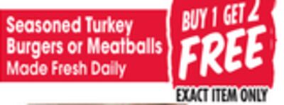 Seasoned Turkey Burgers or Meatballs