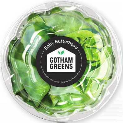Gotham Greens Baby Butterhead Lettuce