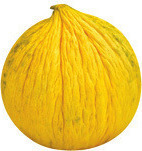 Galia, Casaba, Canary, Lemondrop, Crenshaw, Orange Flesh Honeydew, or Santa Claus Melons