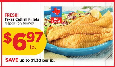 Texas Catfish Fillets