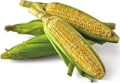 Corn