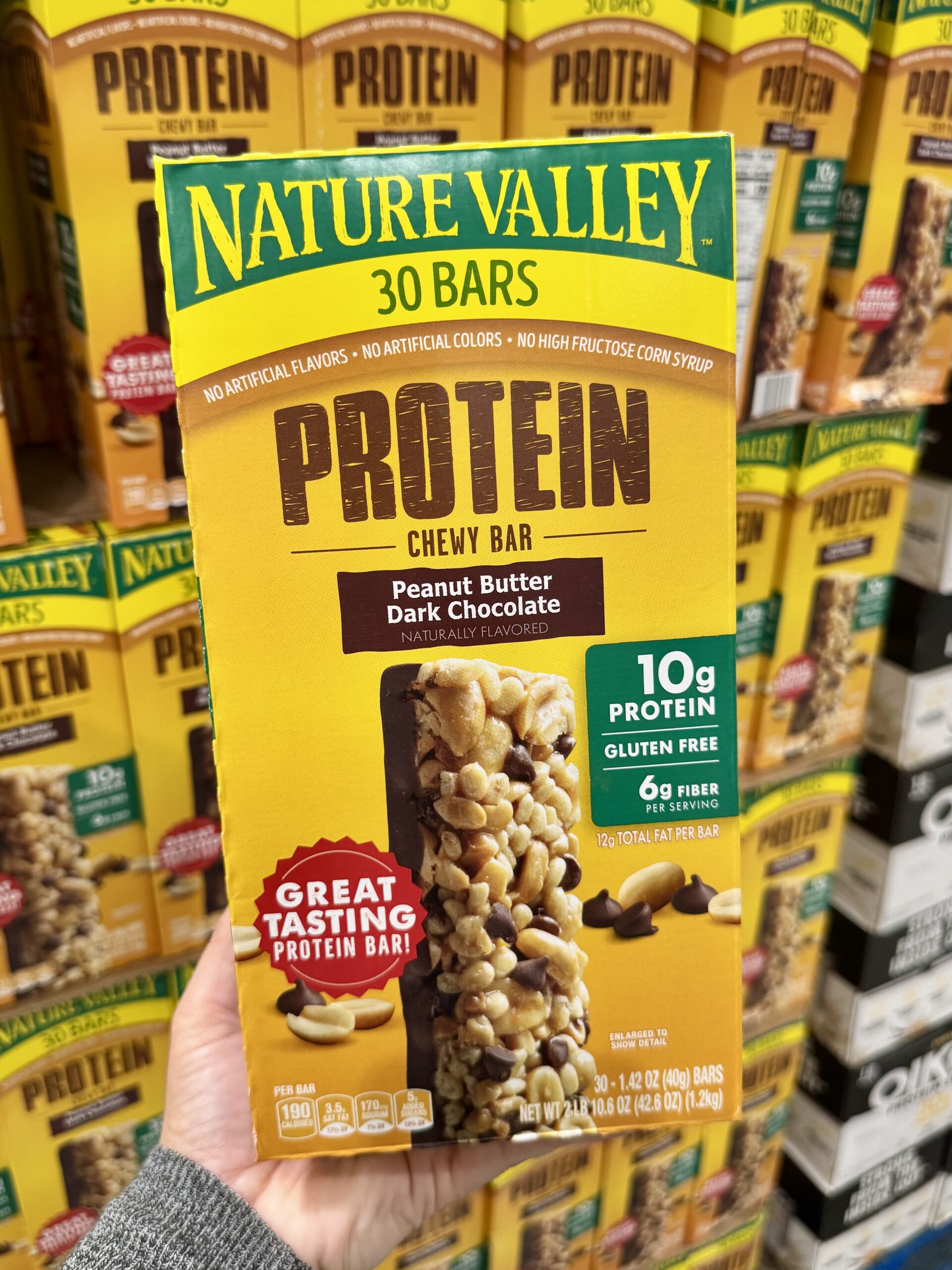 Nature Valley Protein Chewy Bar